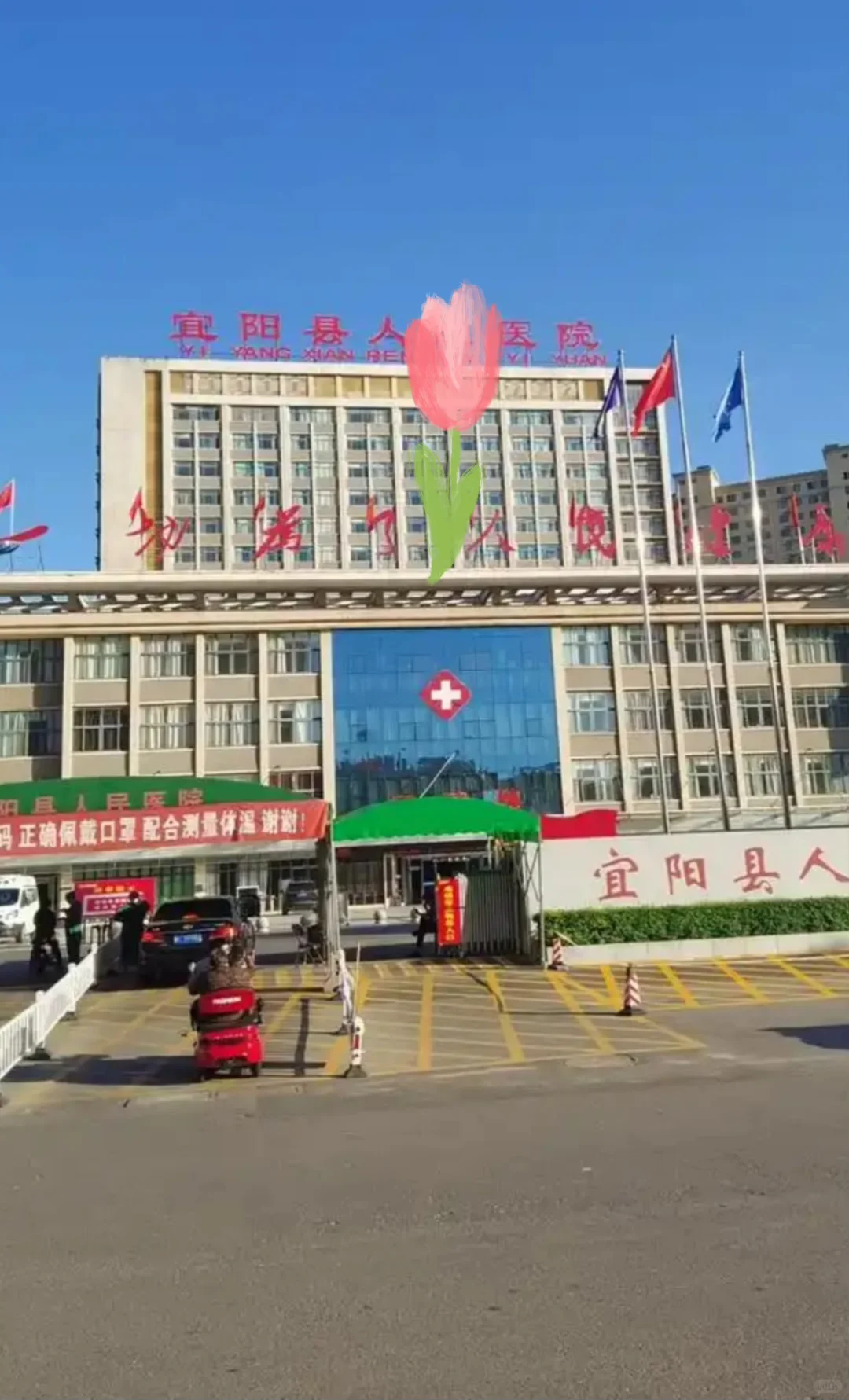 洛阳市宜阳县🏥召档案管理4人