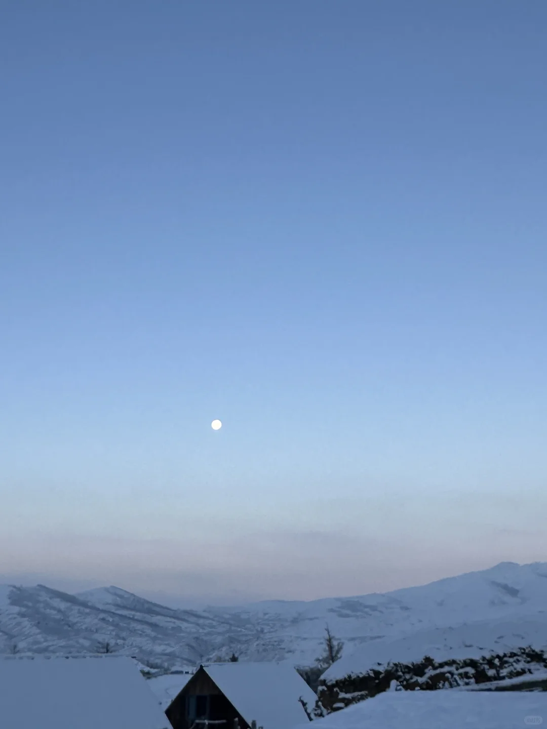 阿勒泰｜白哈巴餐厅义工招聘