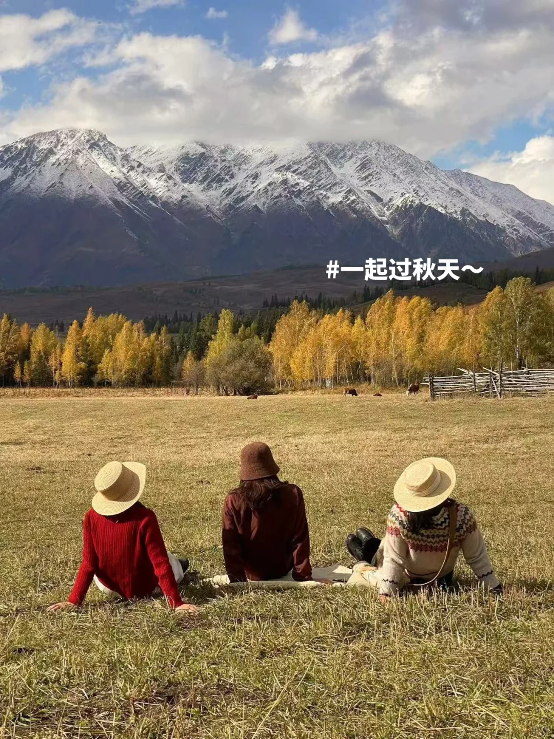 新疆招人，在草原边上班，天天带薪看雪山