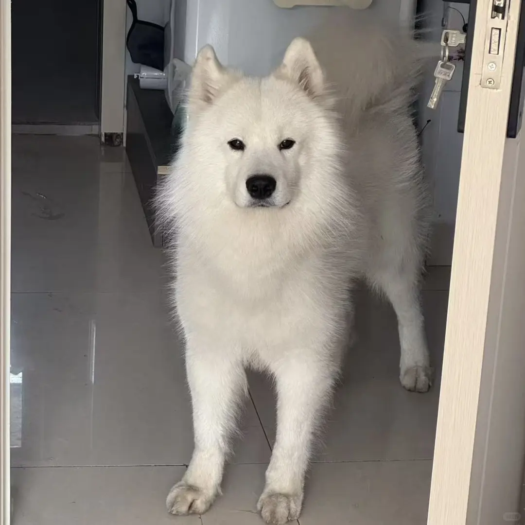 呼市日结兼职半天100🧧万象城附近