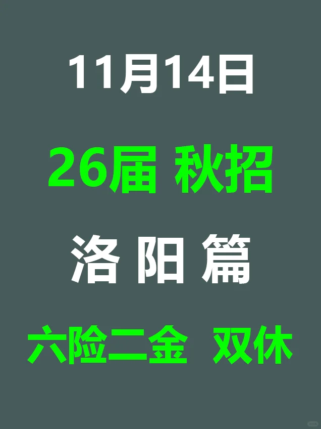 11月14日 洛阳26秋招集中爆发，岗位真棒啊