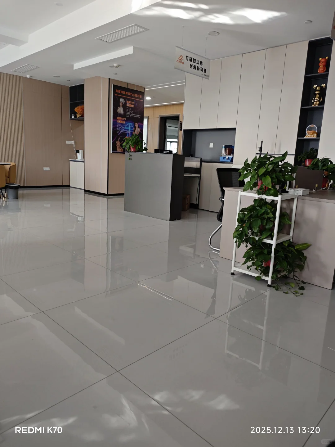 欢迎洛阳宝子入职我的公司