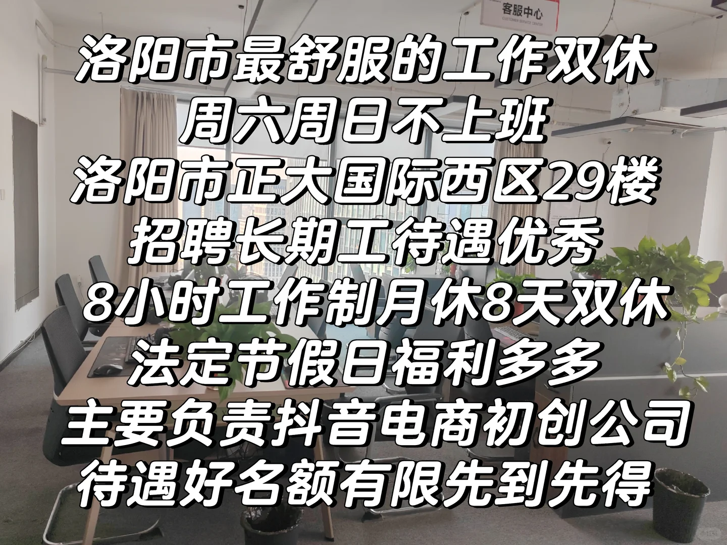 招聘双休洛阳工作