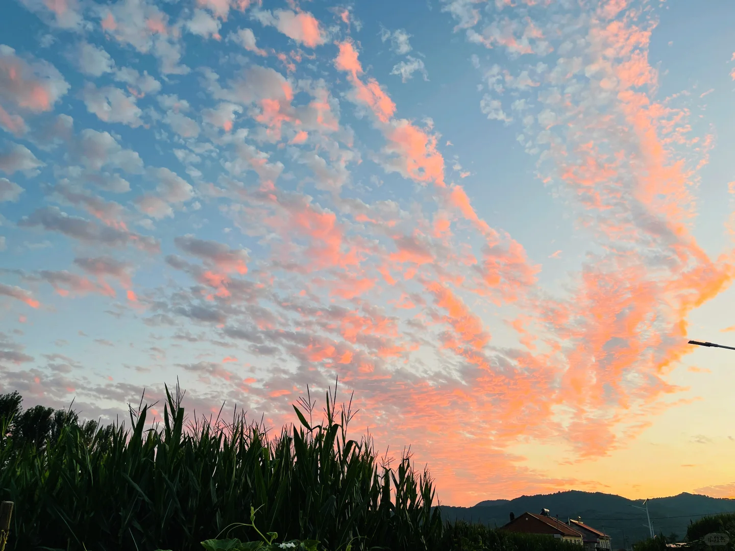 承德市翠桥找工作日结