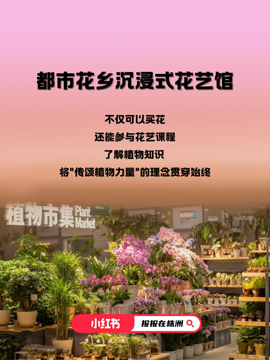 注意！这些首店即将入驻株洲神农万达广场