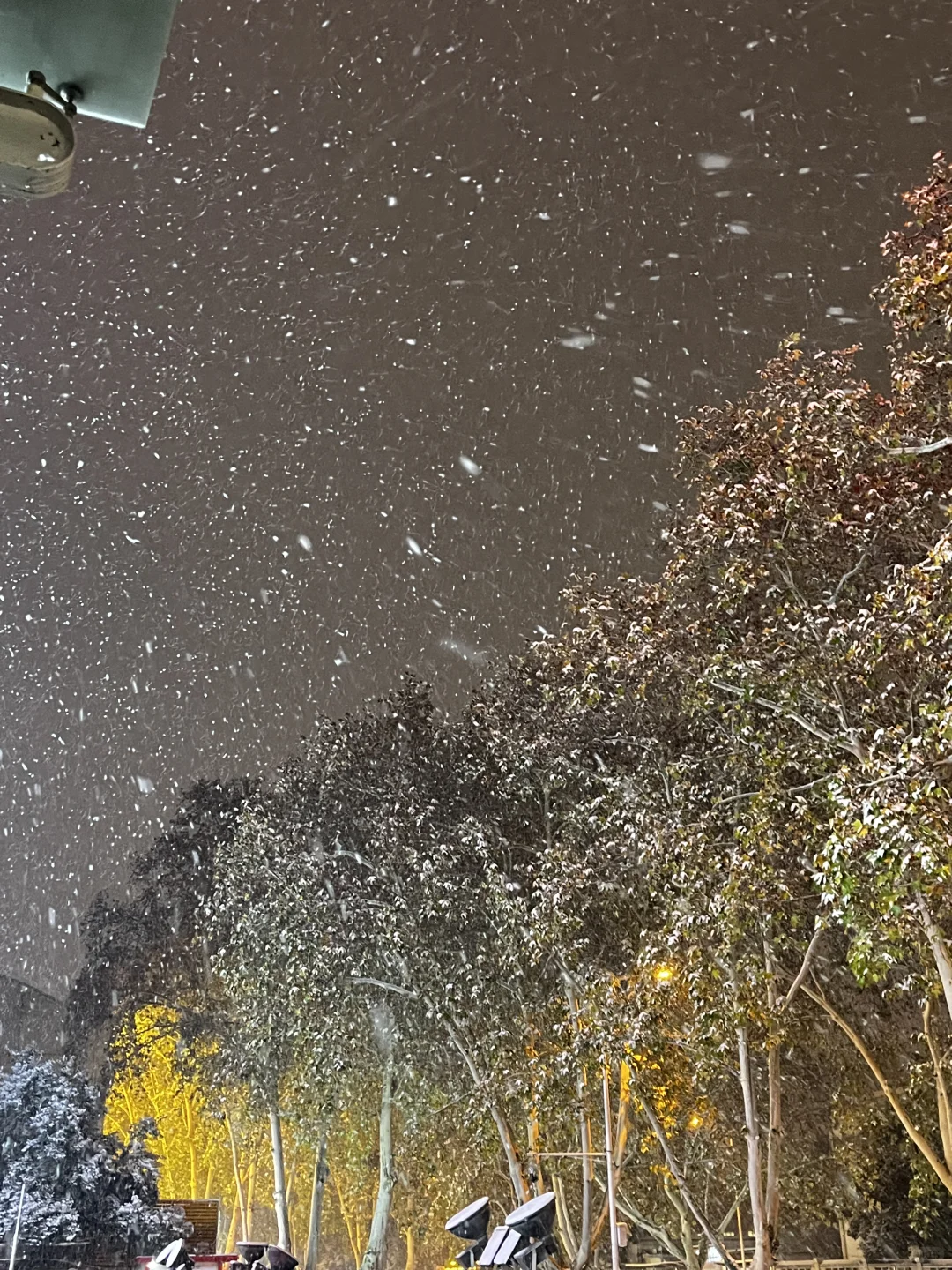 西工区 无责底薪36 00 不加班