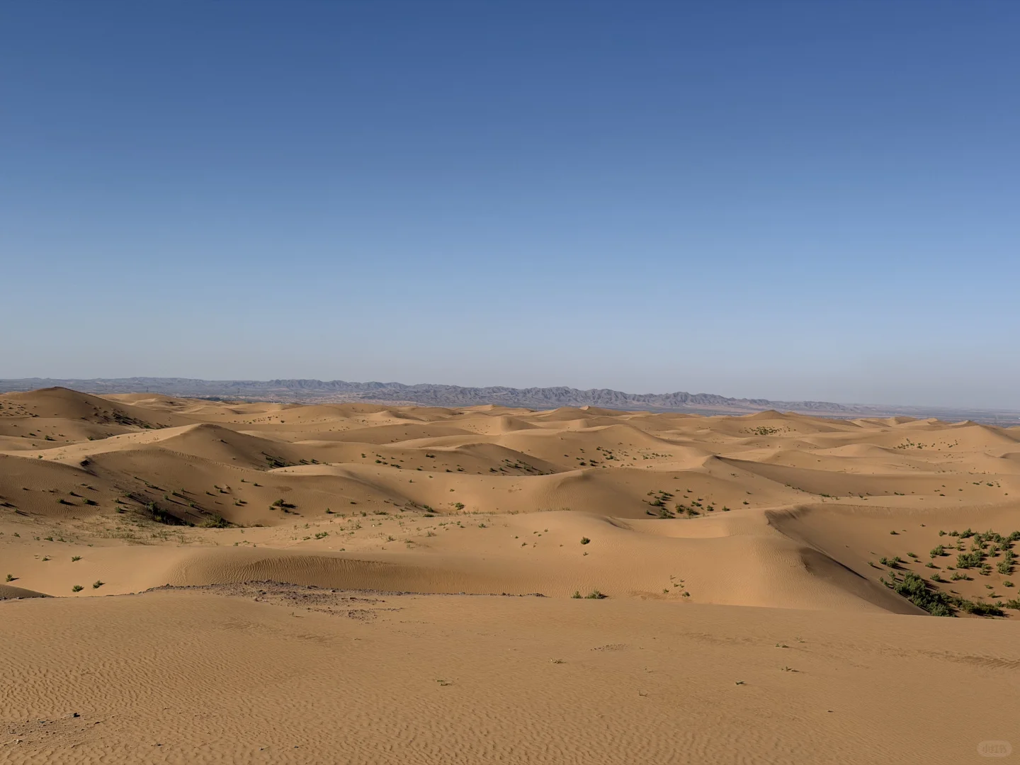 坐标中卫，招聘观星师