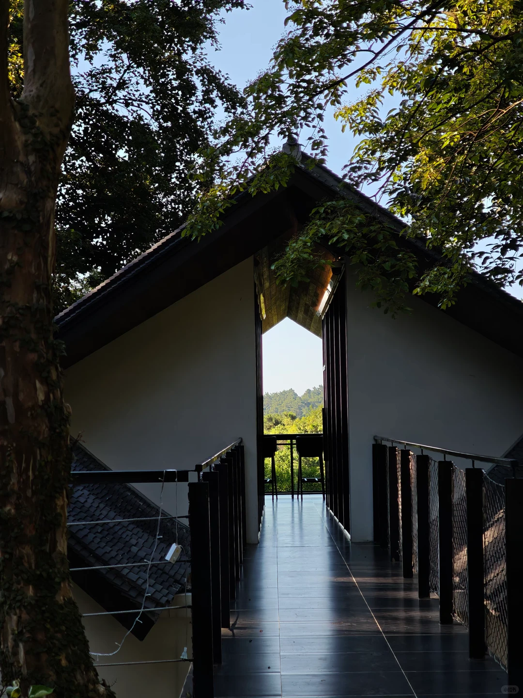 衡山书院｜寻找有热爱有理想的伙伴