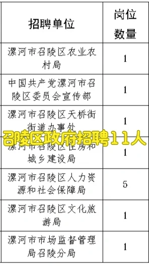 召陵区政府招聘公益性岗位11人