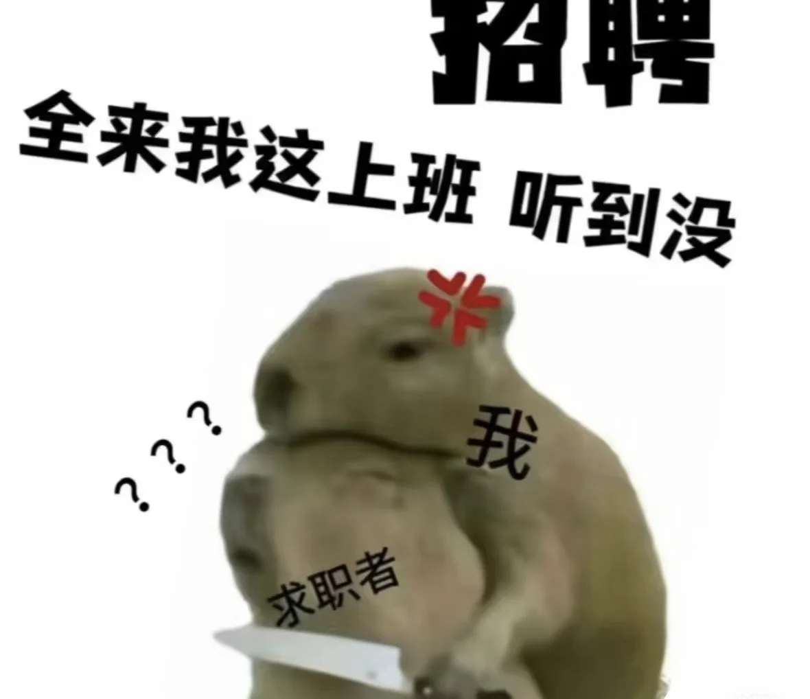 平顶山市区工作全职兼职都有！