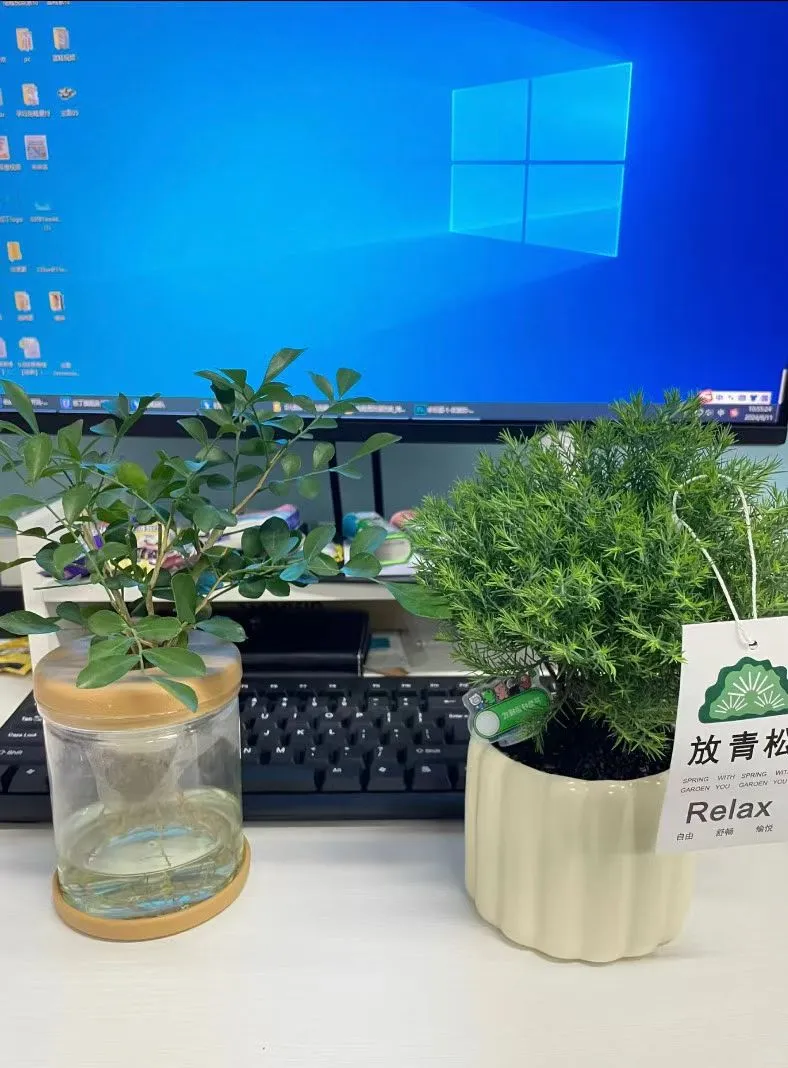 招聘安阳本地客服工作轻松简单