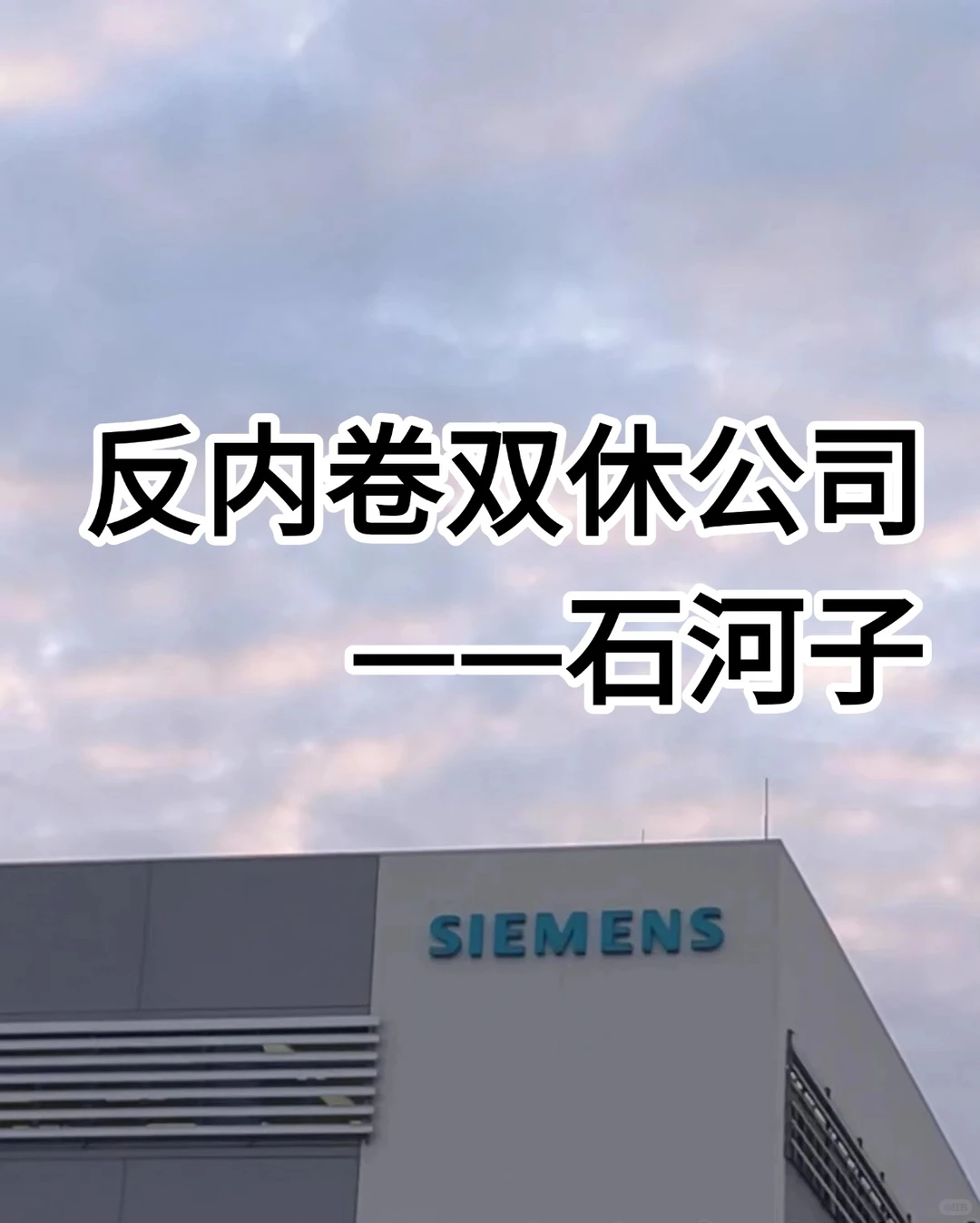 反内卷双休公司——石河子