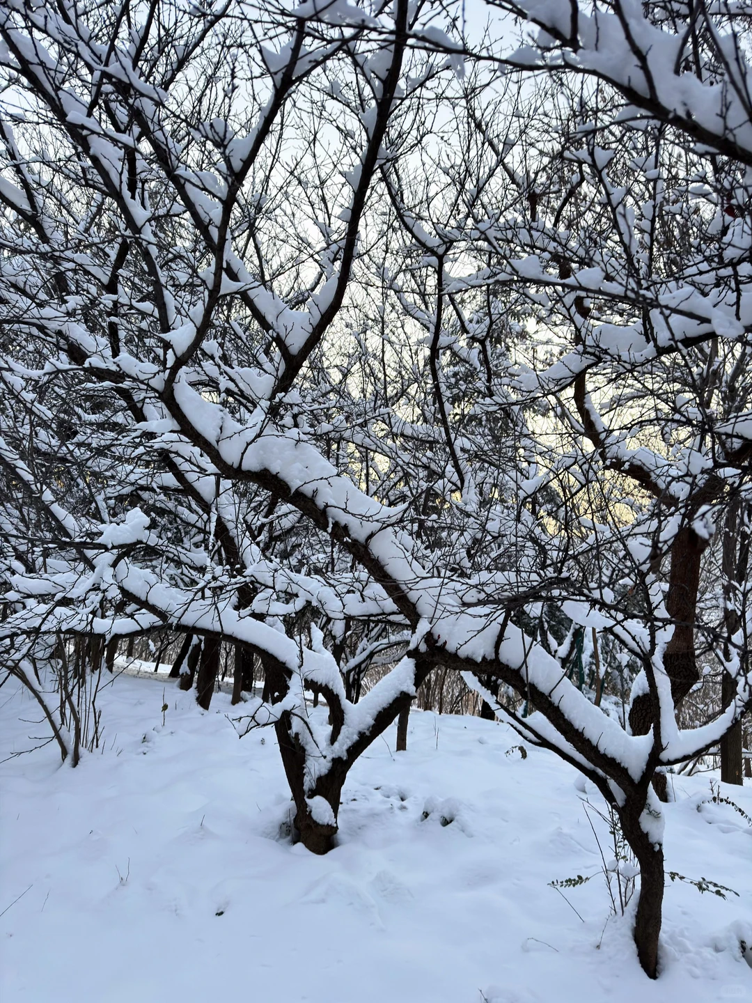 2025年12月13日四川宜宾人才引进面试题