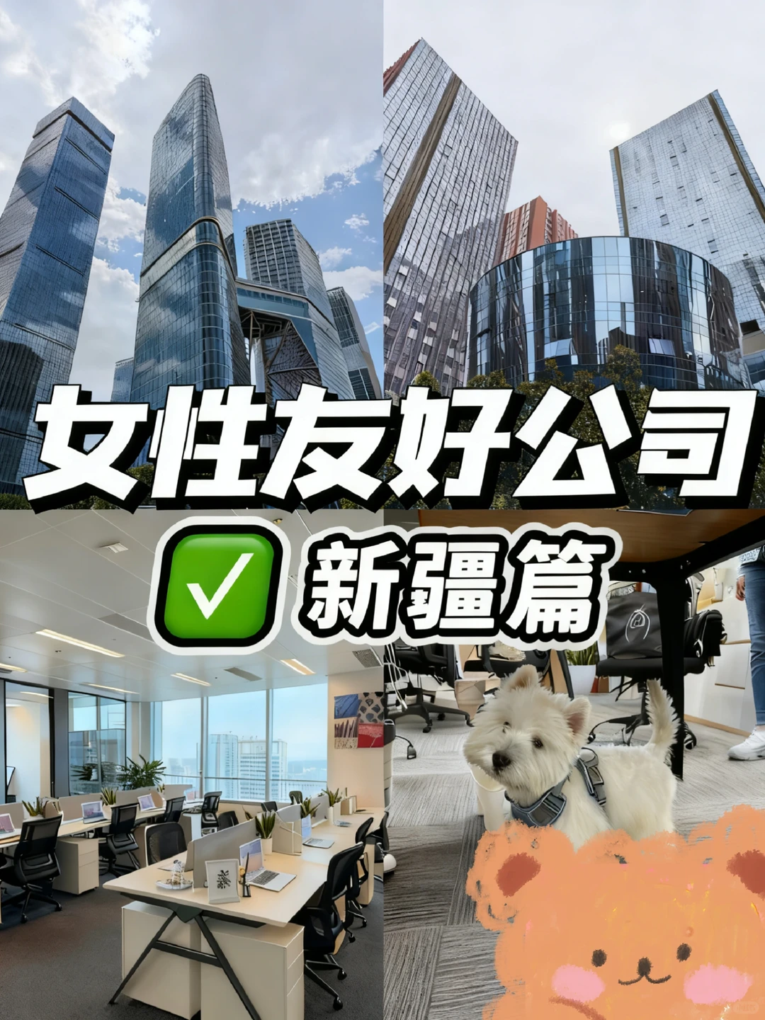 女性友好公司|新疆篇