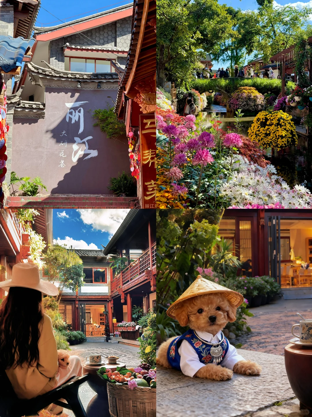 招人啦招人啦！快来加入我们！