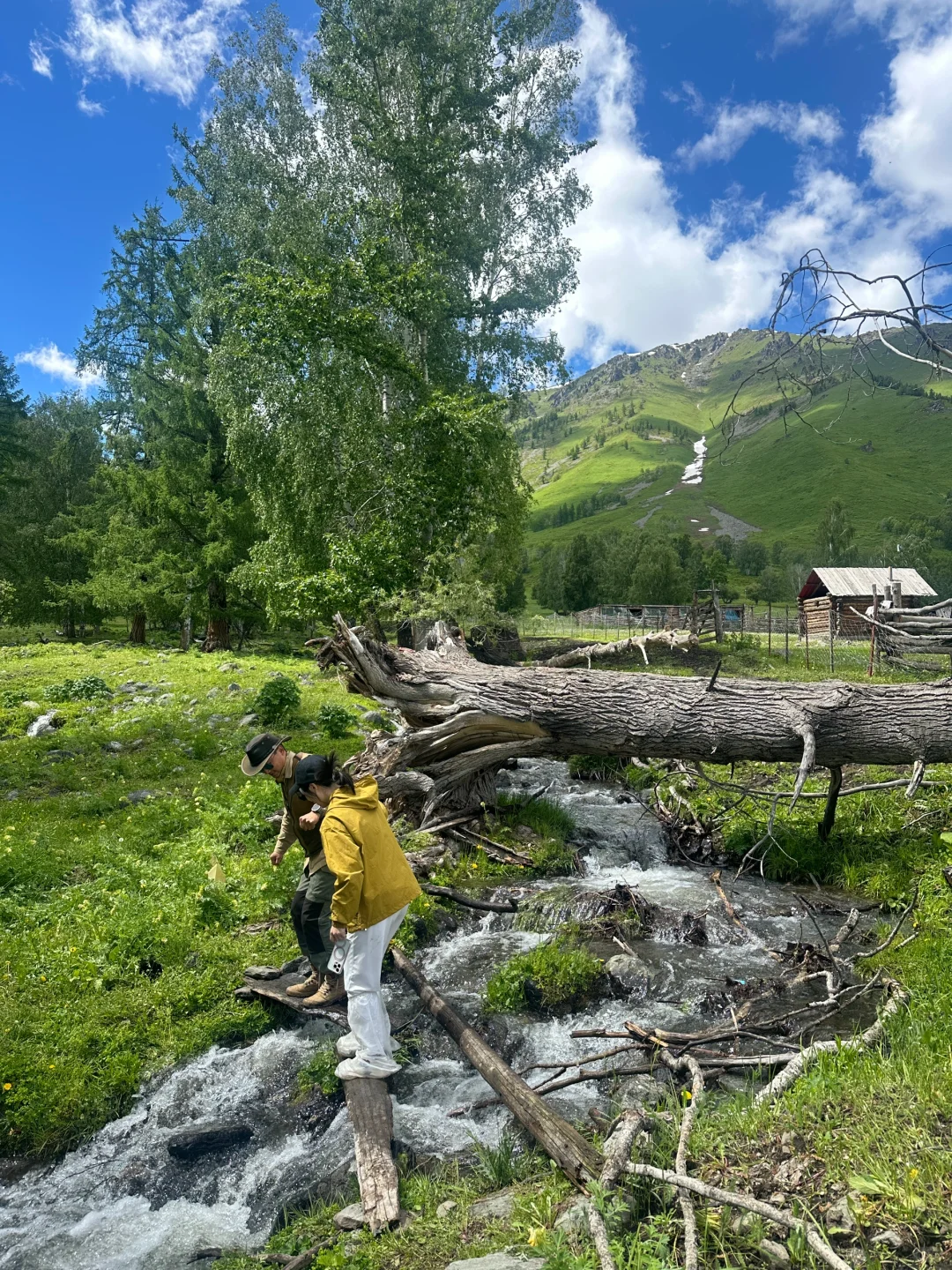 新疆招人，在草原边上班，天天带薪看雪山