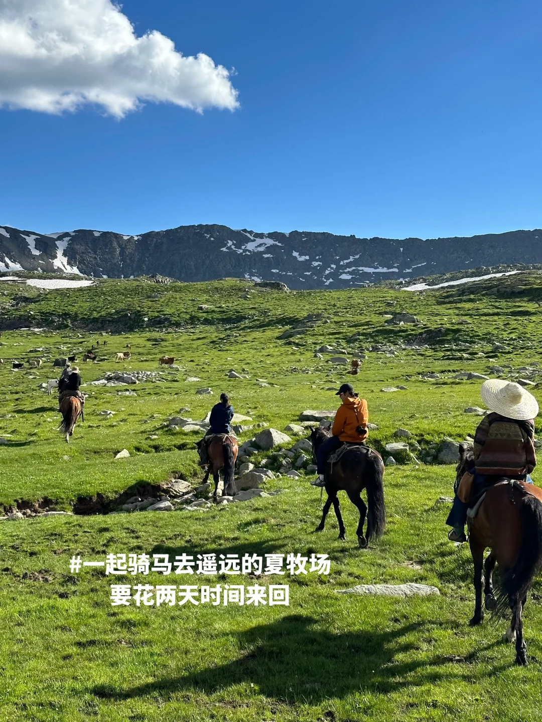 新疆招人，在草原边上班，天天带薪看雪山