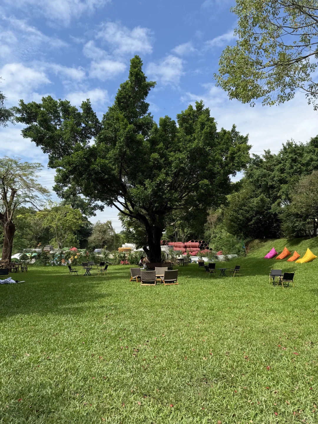 闲野六记 ”深圳店招聘🎉🎉🎉