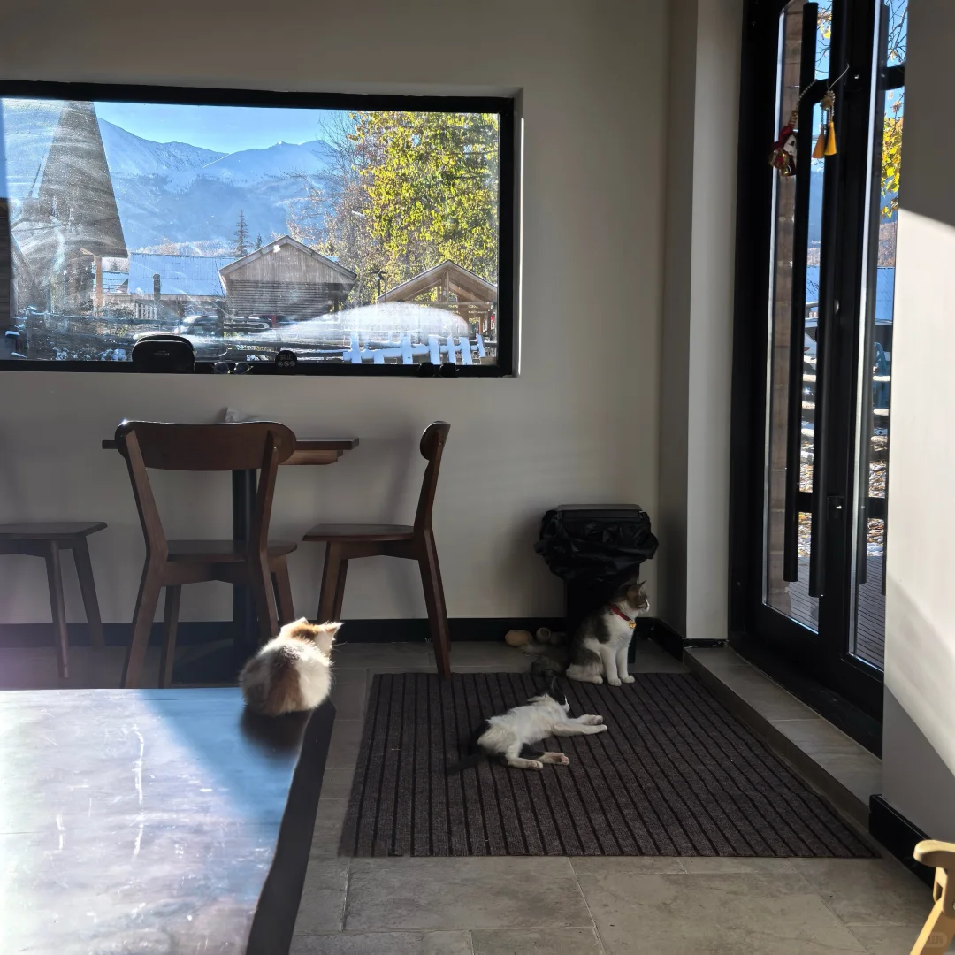 白哈巴民宿店长招聘