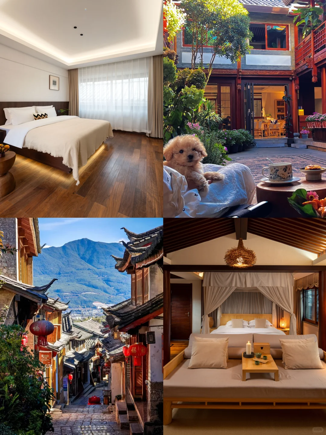 招人啦招人啦！快来加入我们！