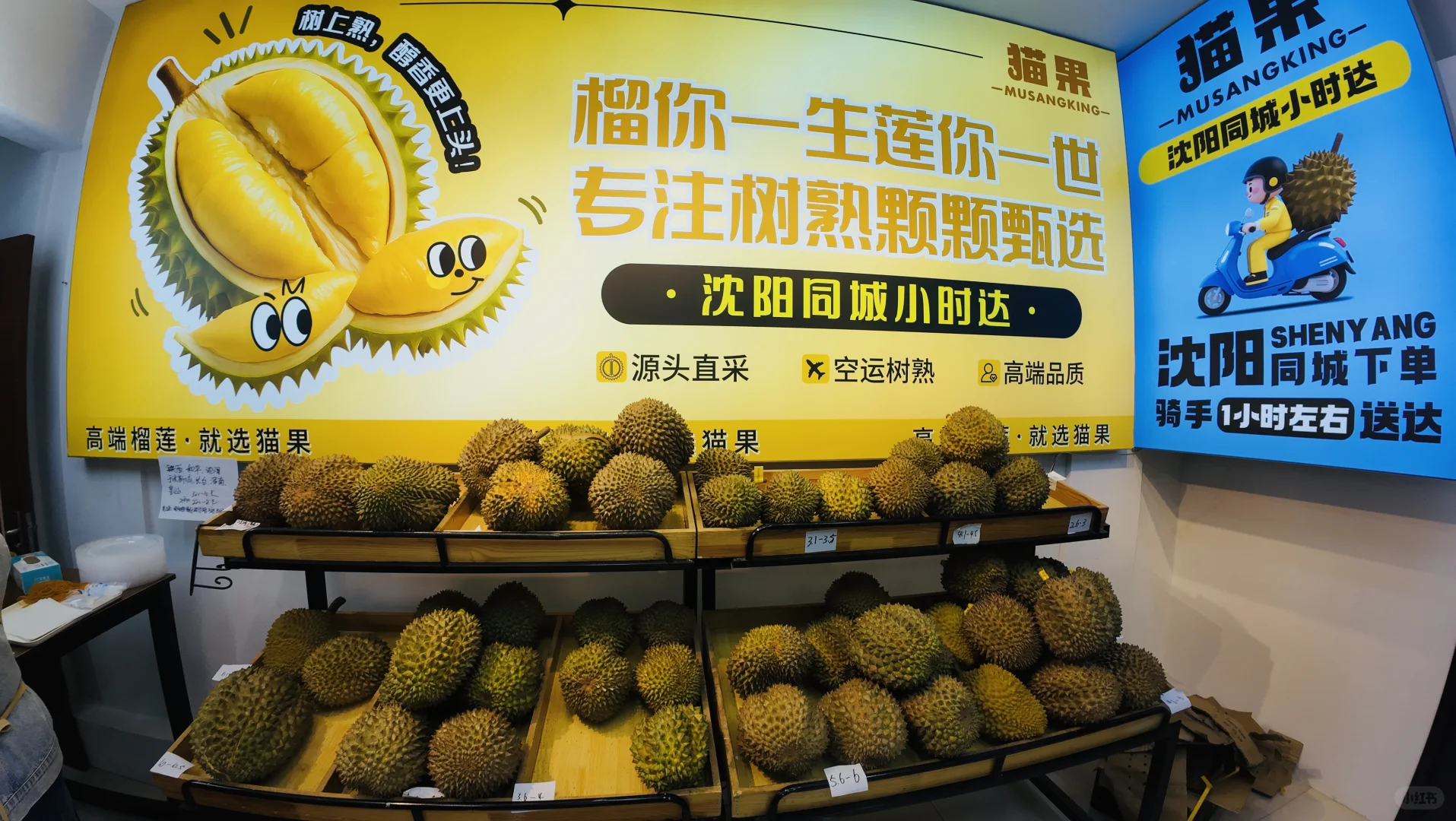 沈阳市铁西区 招聘啦～