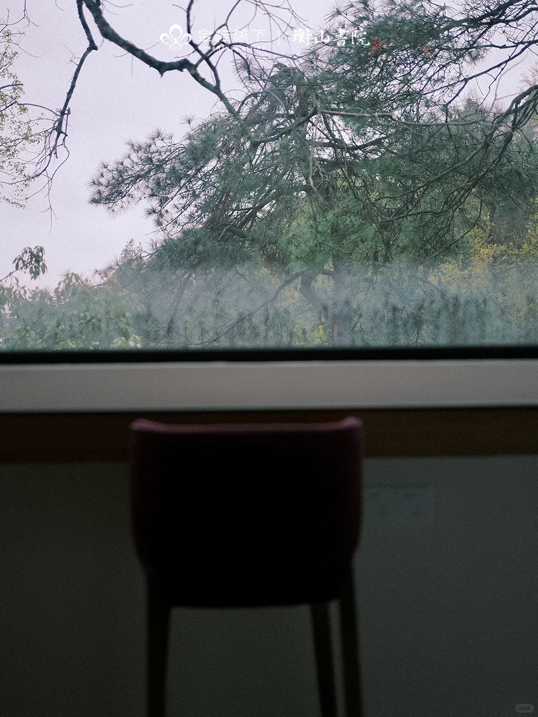 衡山书院｜寻找有热爱有理想的伙伴