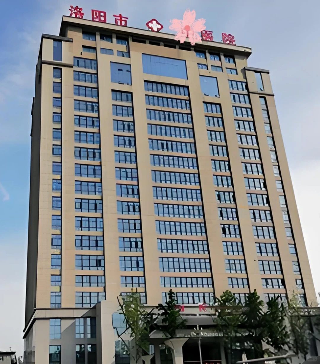 洛阳市中🏥召：护理人员