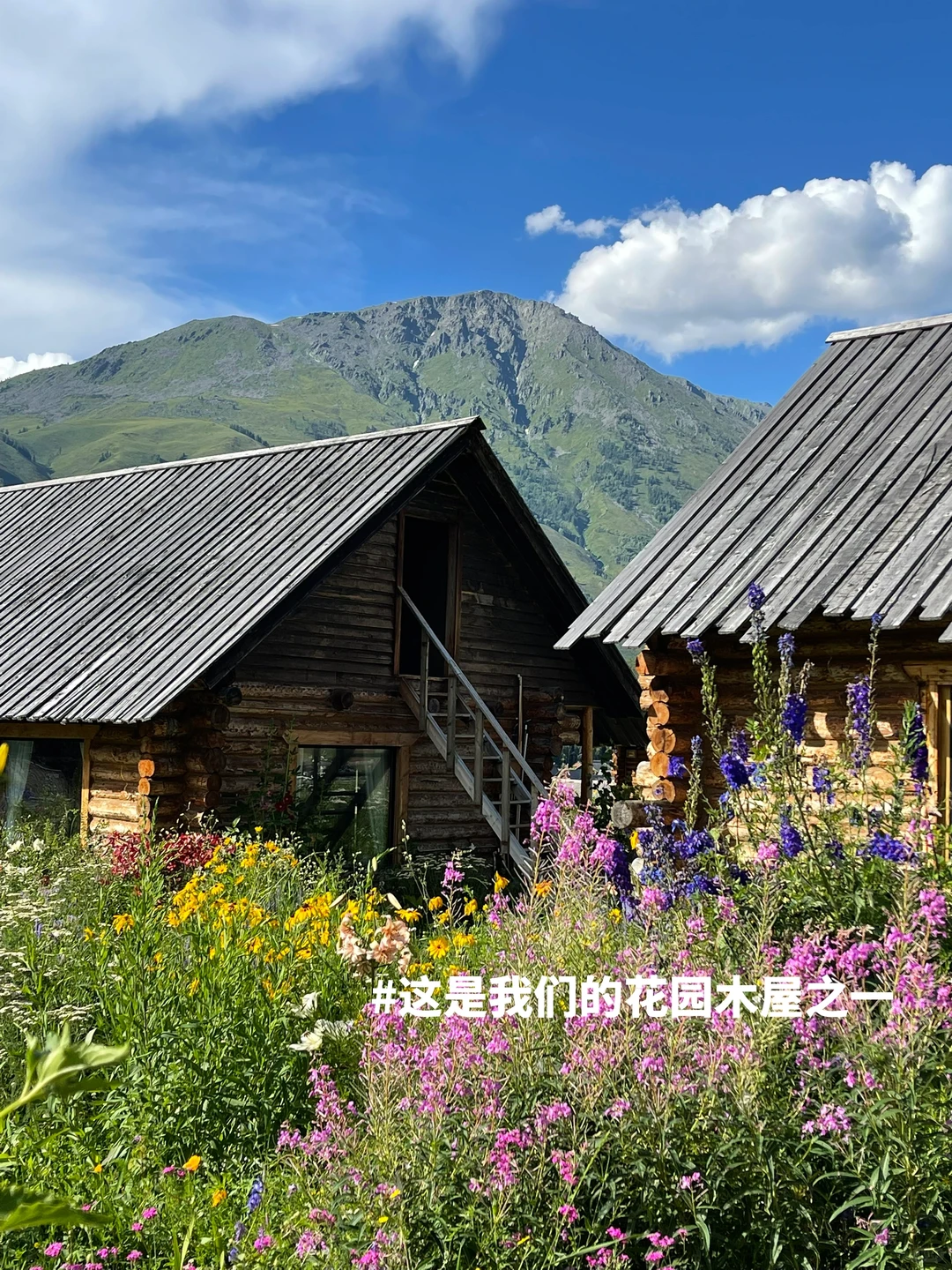 新疆招人，在草原边上班，天天带薪看雪山