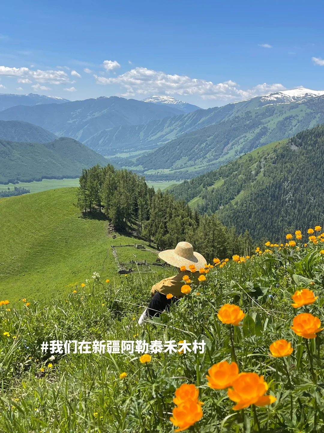 新疆招人，在草原边上班，天天带薪看雪山