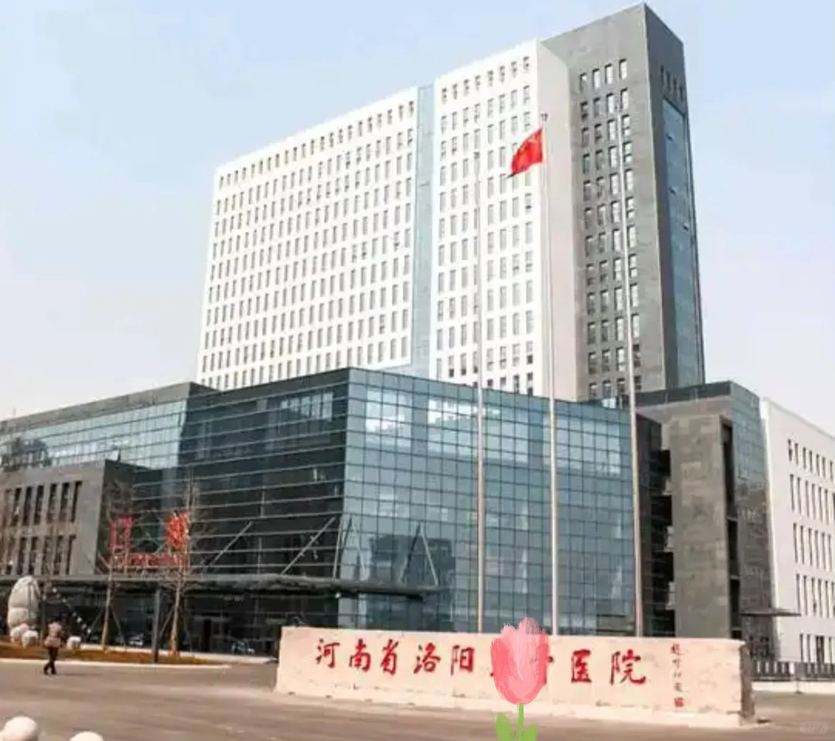 洛阳市公立🏥上档案管理人员5人