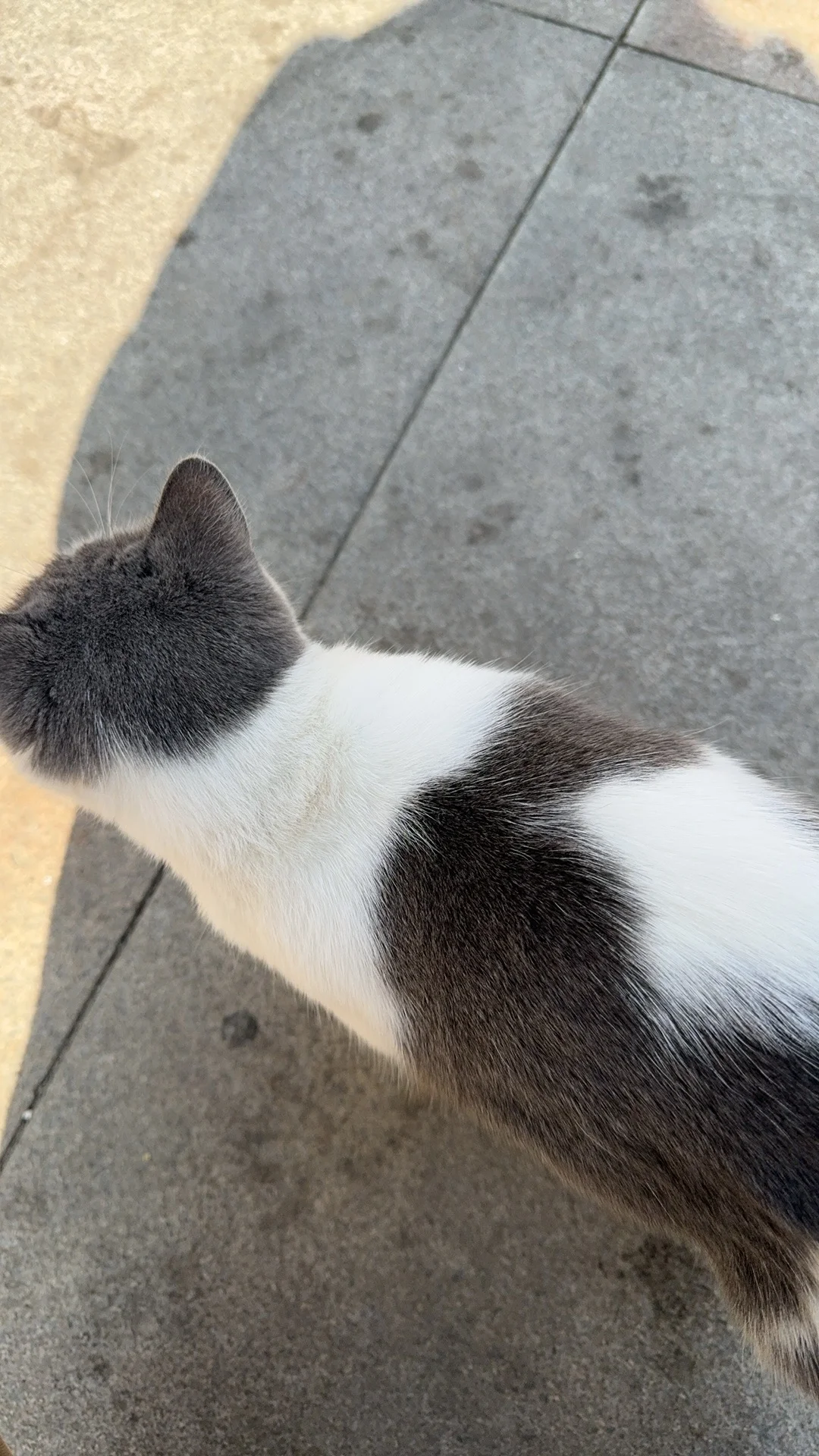 我的碎碎念，纯恶心人