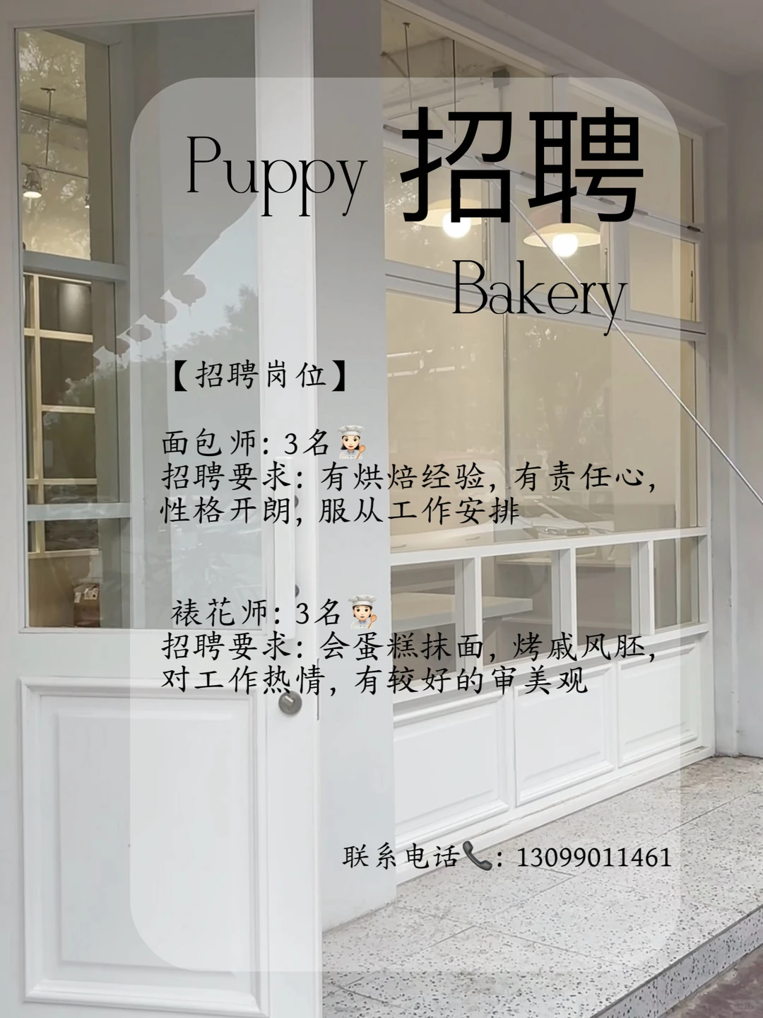 三门峡小狗面包招聘啦
