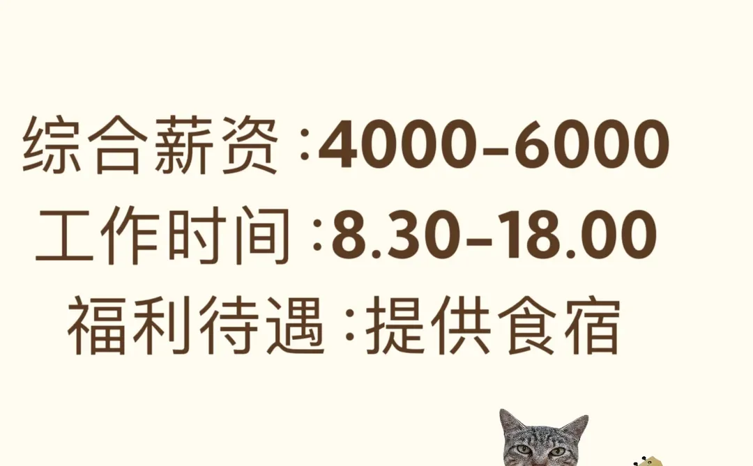 工作啦！泰安招人！