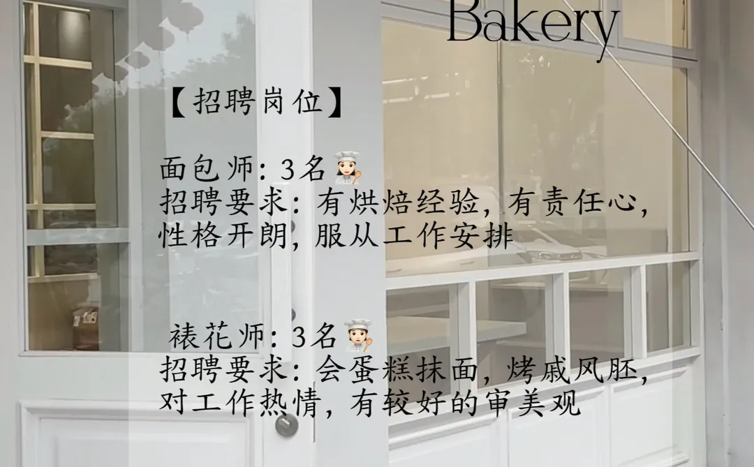 三门峡小狗面包招聘啦