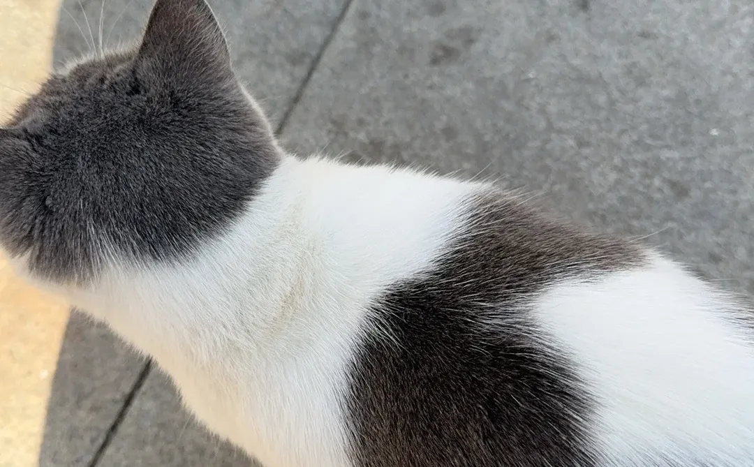 我的碎碎念，纯恶心人