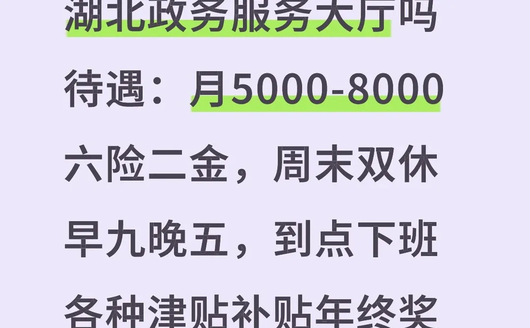 湖北政务服务大厅❗️❗️轻松下班早