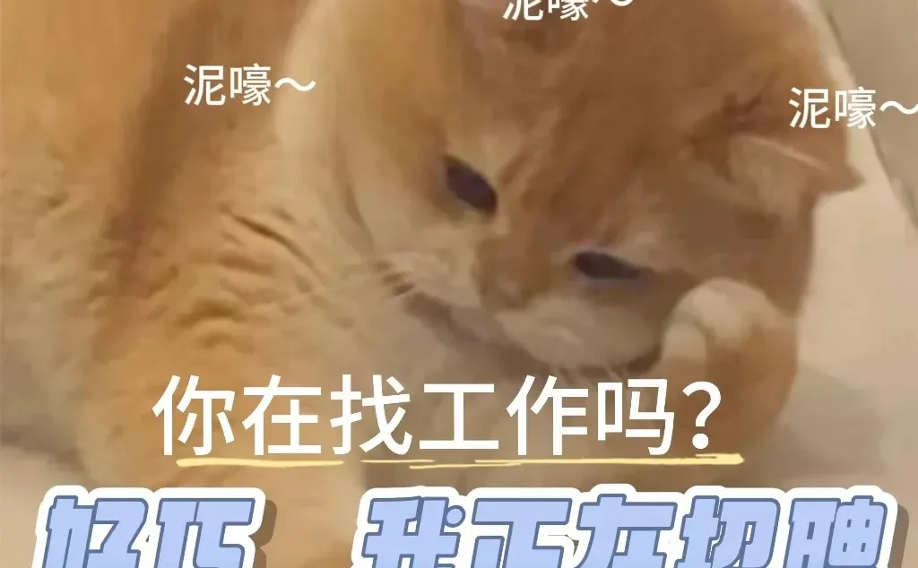 黄石港万达！！！