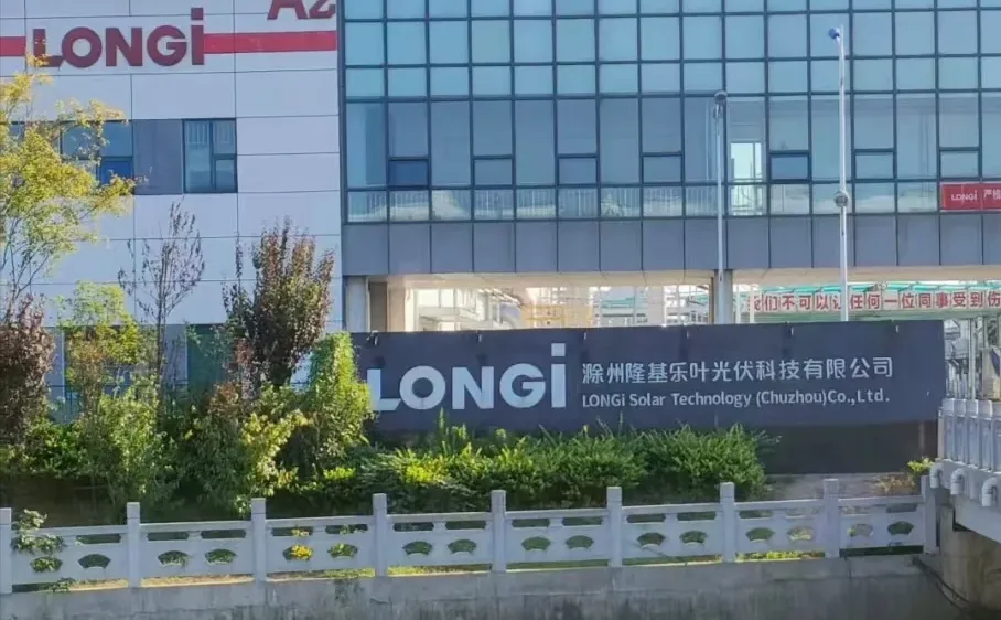 年前还有找工作的嘛