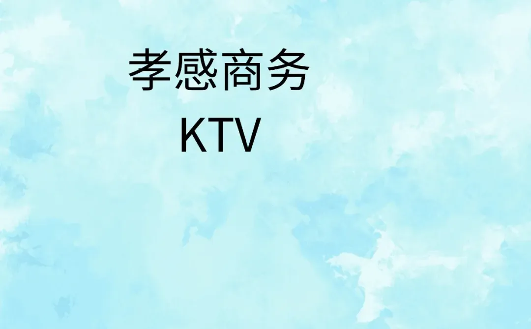 孝感一起20/18/13 十