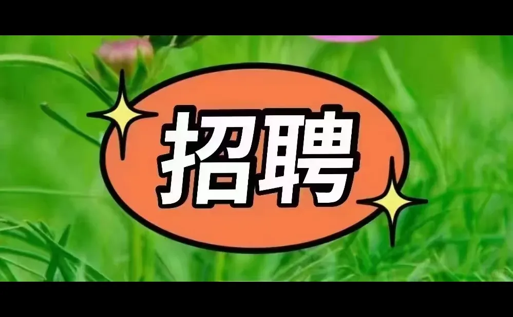 🍀招聘文员：🍀岗位职责：负责公司日