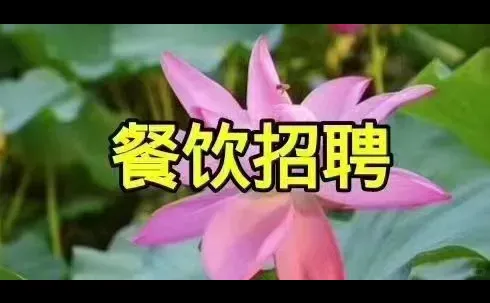 🍀招聘：街角咖啡屋吾悦店和天仙路店诚聘后