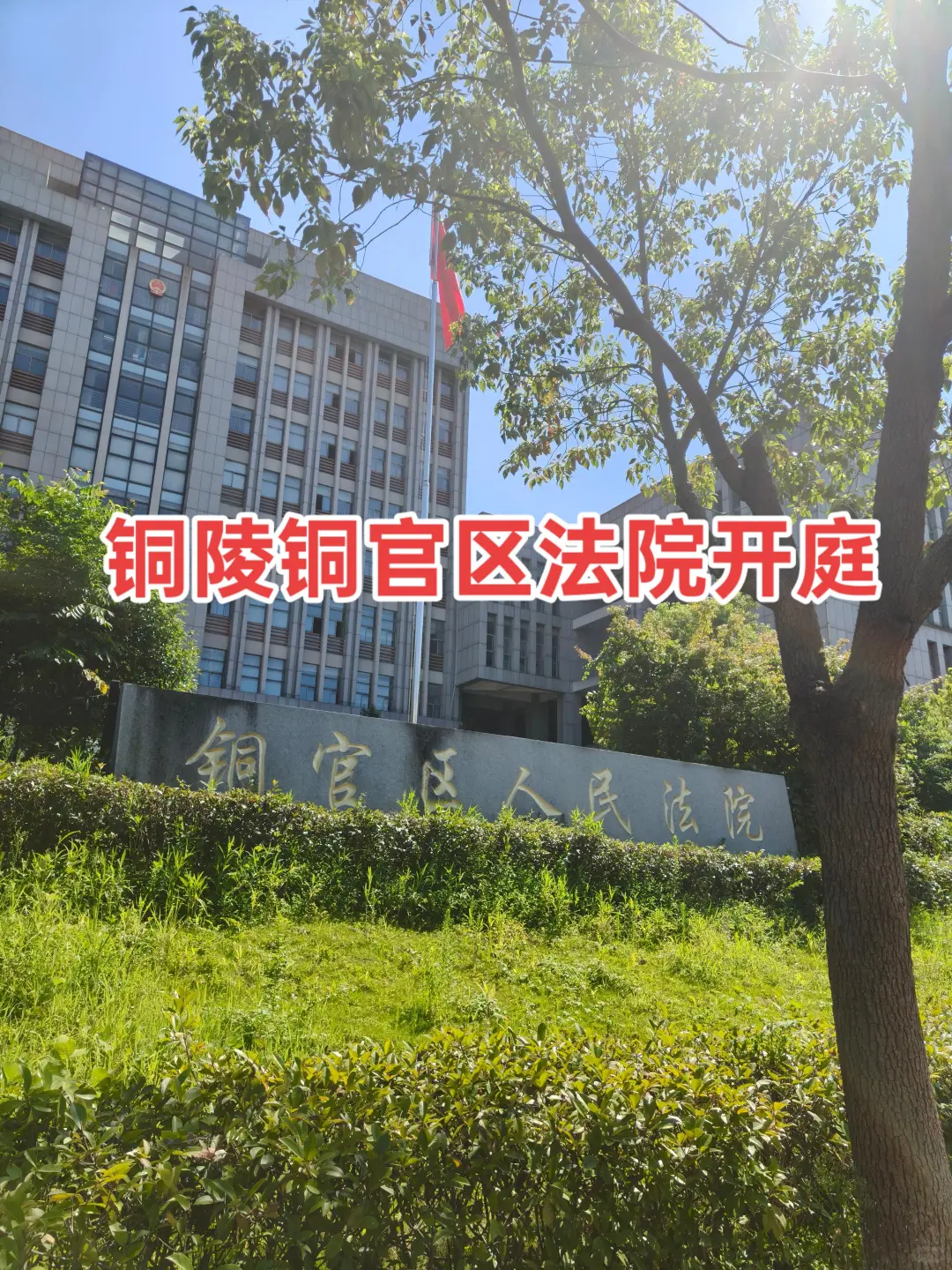 每日一庭，今天在铜陵