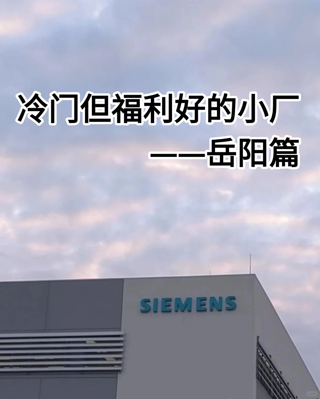 岳阳冷门但是福利待遇不错的小厂