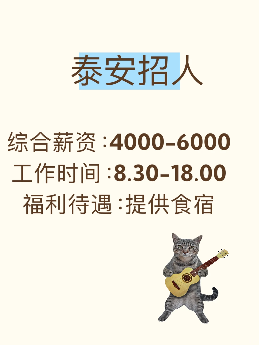 工作啦！泰安招人！