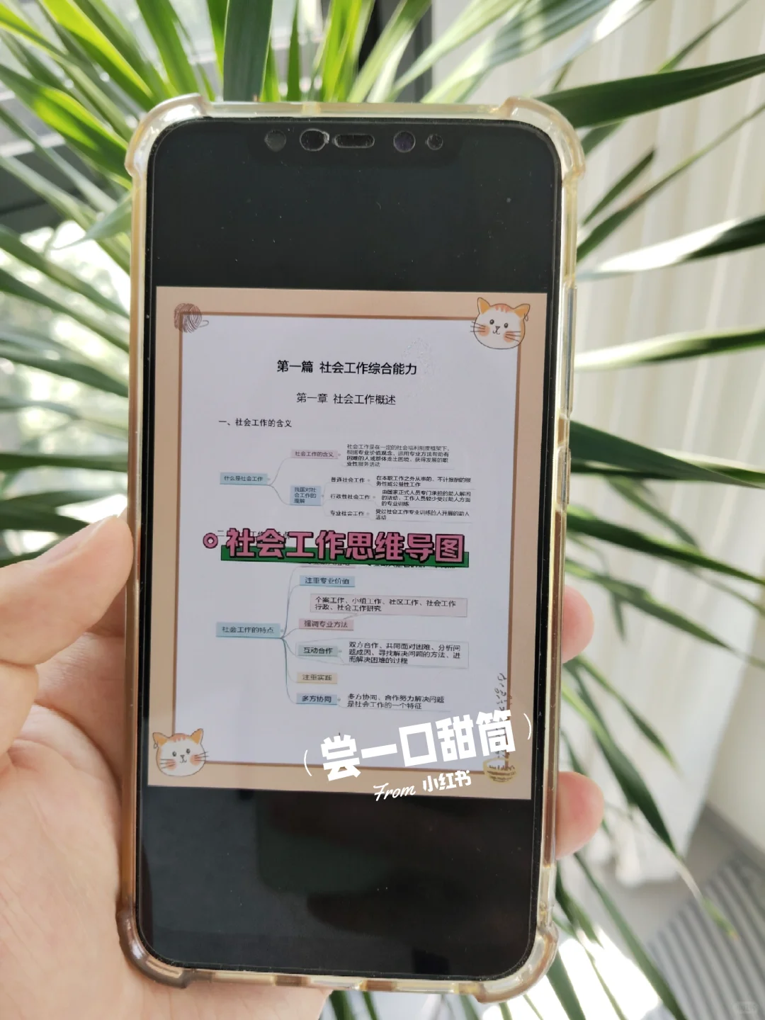 提醒一下，12.19报名永州宁远县社区的人