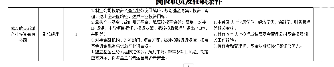武汉市新洲区属国有企业招聘公告