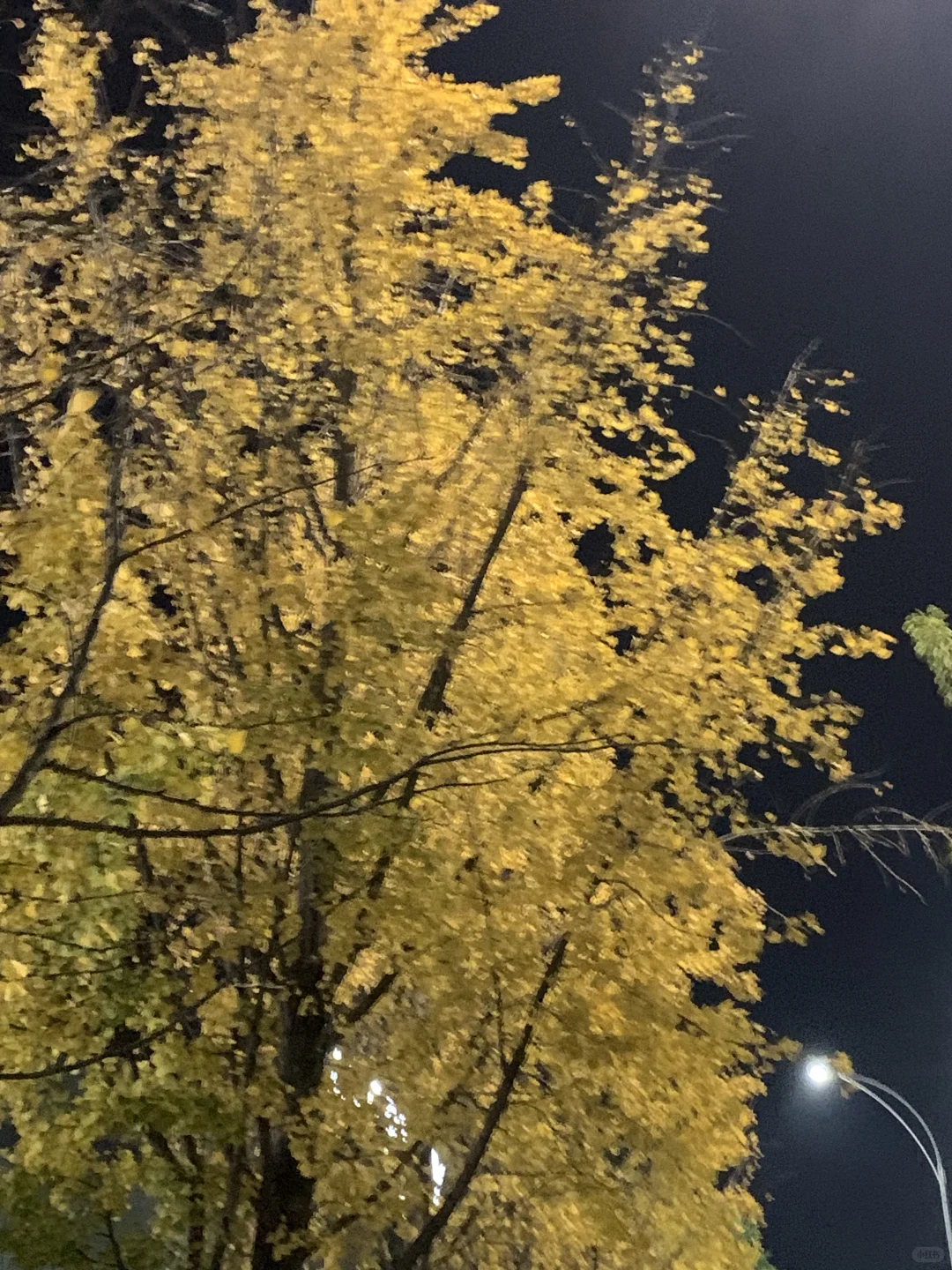 永州冷水滩找兼职