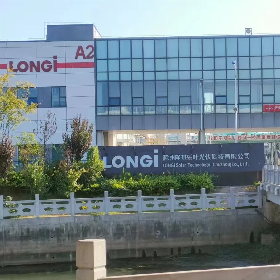 年前还有找工作的嘛