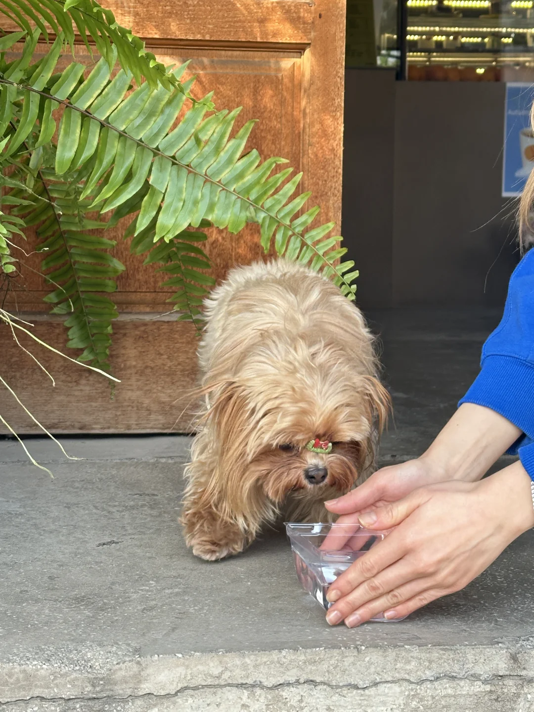 这个时代想找点靠谱的人当同事也不难吧