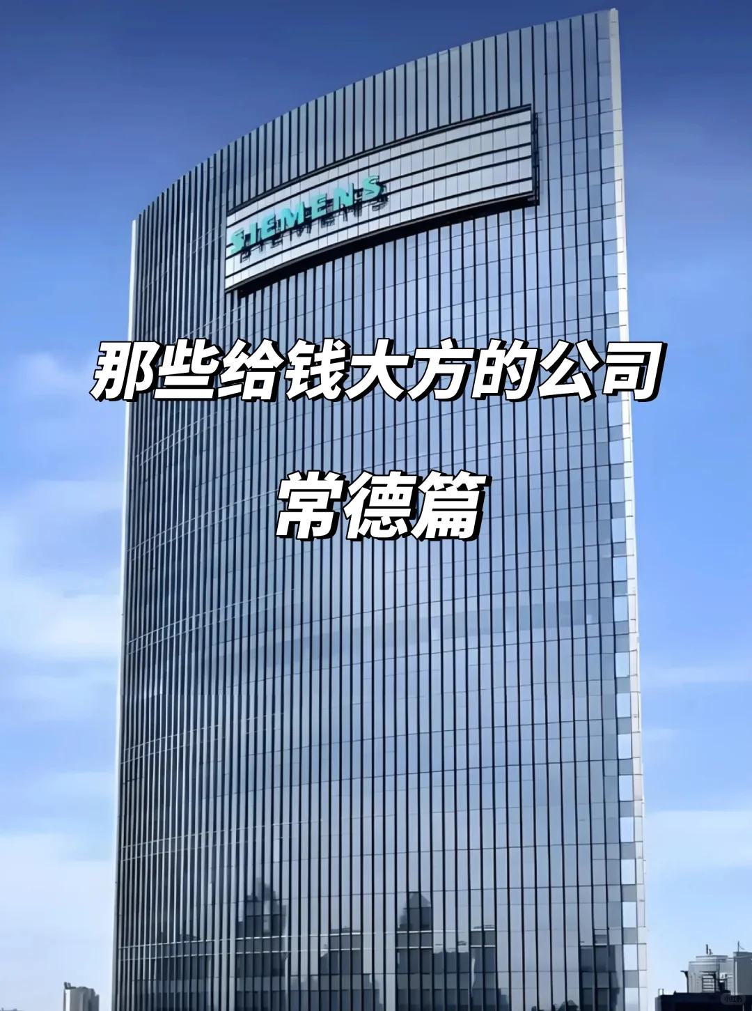 常德给钱大方的公司总结！速码！💸